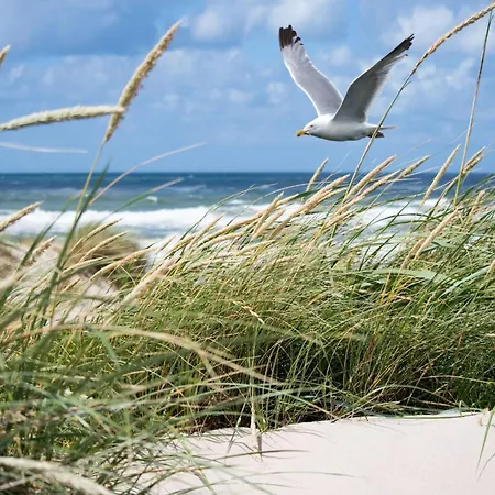 In Duinbergen With Sea Views Apartament Knokke-Heist