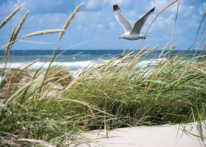 In Duinbergen With Sea Views Appartement Knokke-Heist